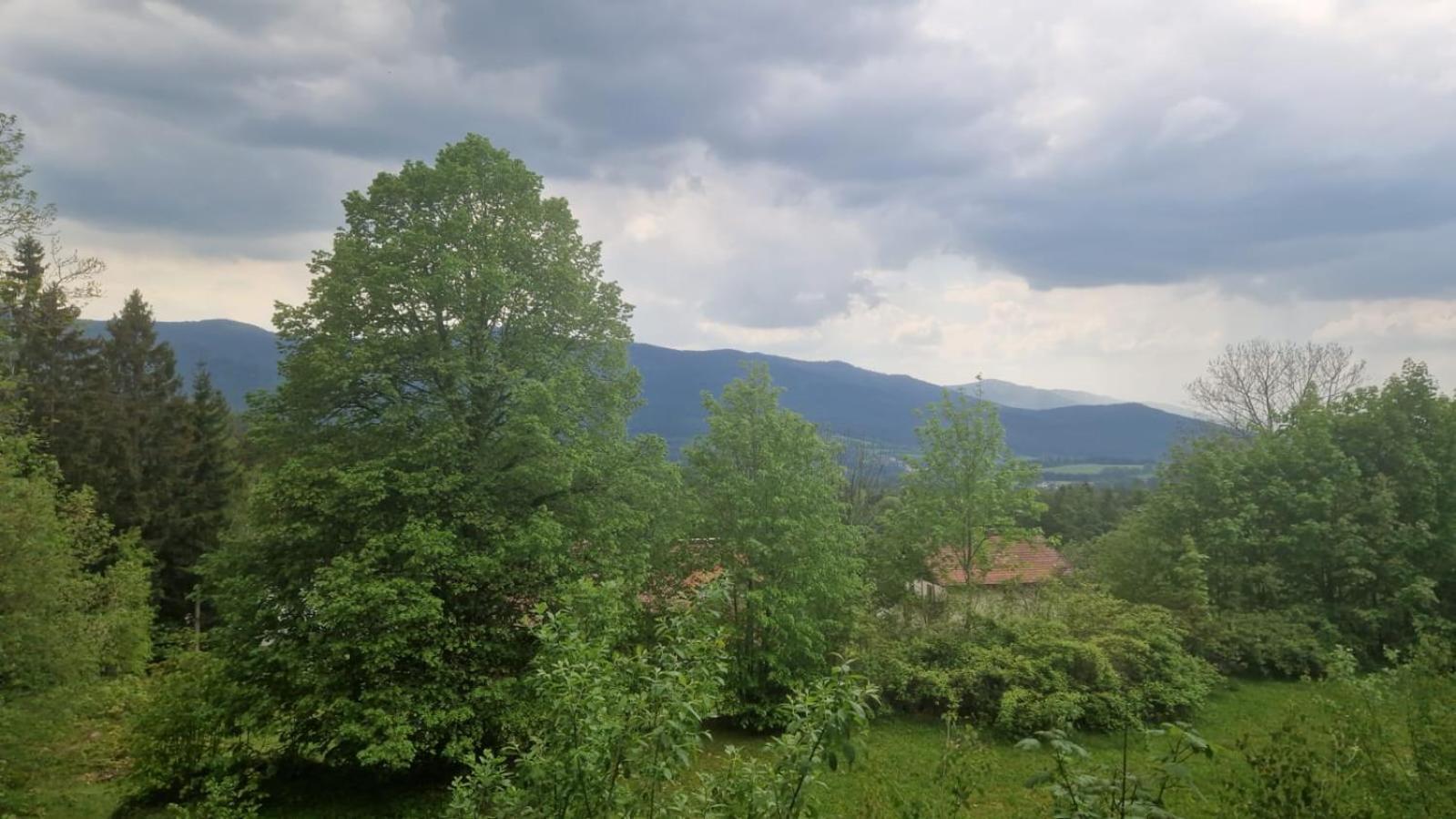 Schoene Unterkunft In Lohberg Mit Grillplatz Und Balkon ภายนอก รูปภาพ